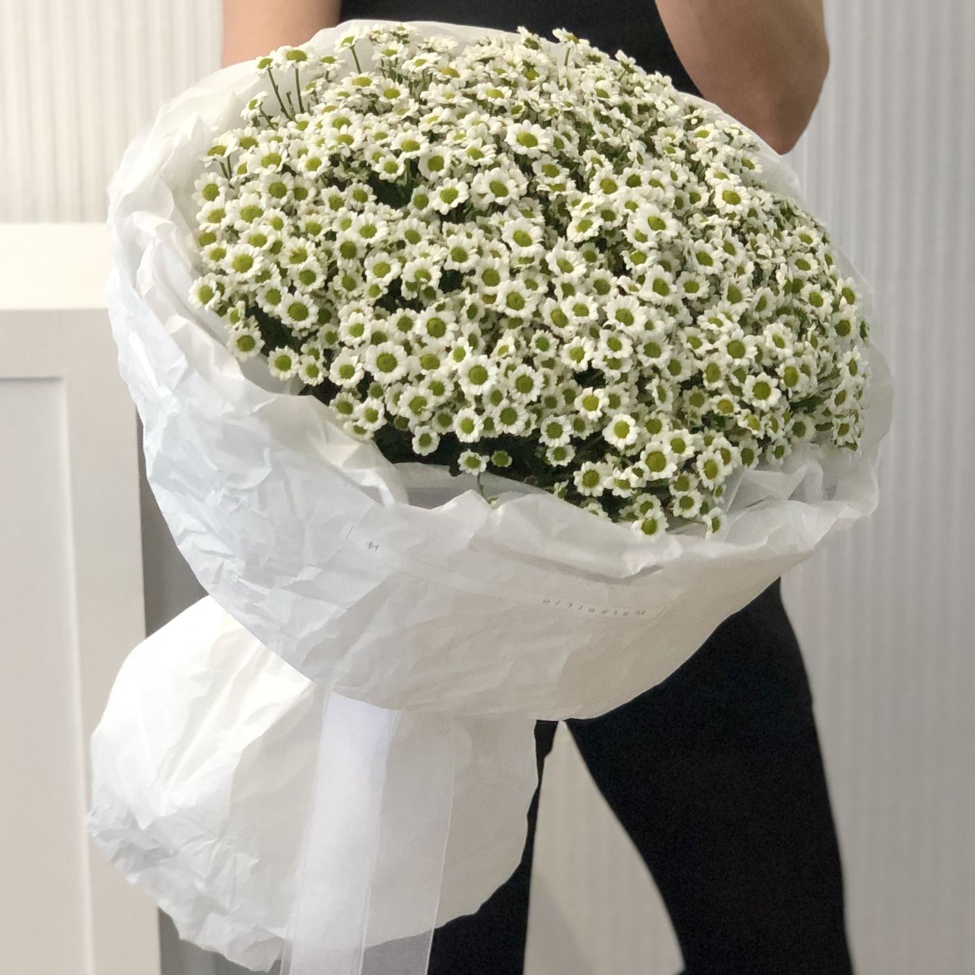 БУКЕТ ИЗ САНТИНИ