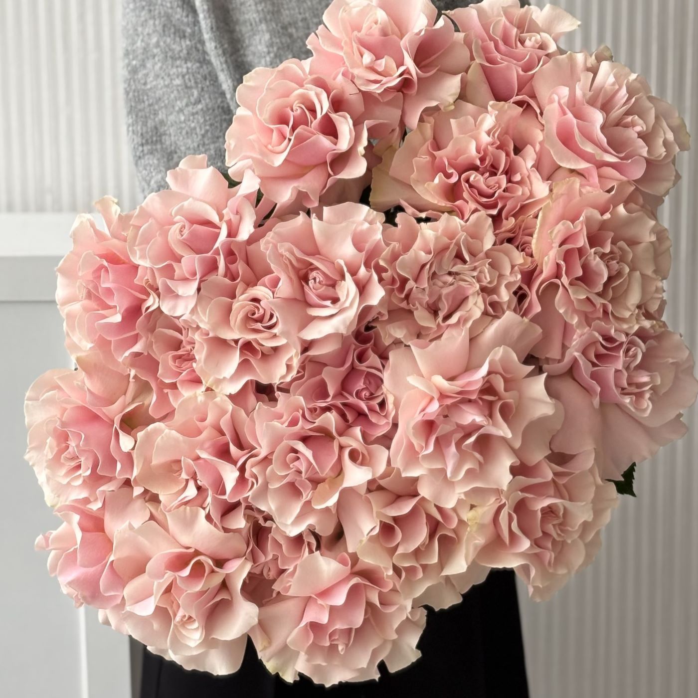 РОЗА PINK MONDIAL