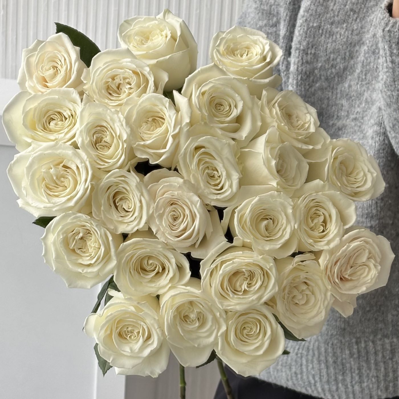 РОЗА PLAYA BLANCA