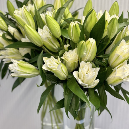 ПИОНОВИДНЫЕ ЛИЛИИ