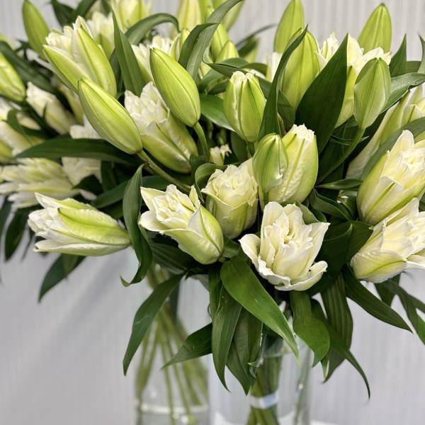 ПИОНОВИДНЫЕ ЛИЛИИ