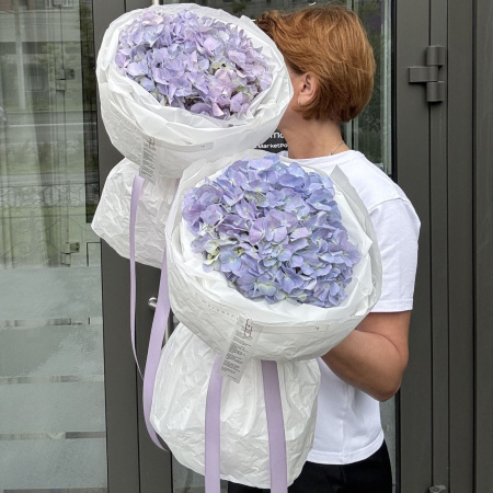 БУКЕТ ИЗ ГОРТЕНЗИИ