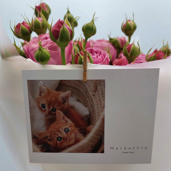 Открытка №27