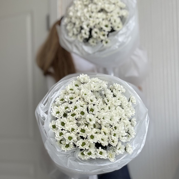 БУКЕТ ИЗ РОМАШЕК САНТИНИ БУКЕТ ИЗ РОМАШЕК САНТИНИ