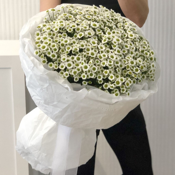 БУКЕТ ИЗ САНТИНИ