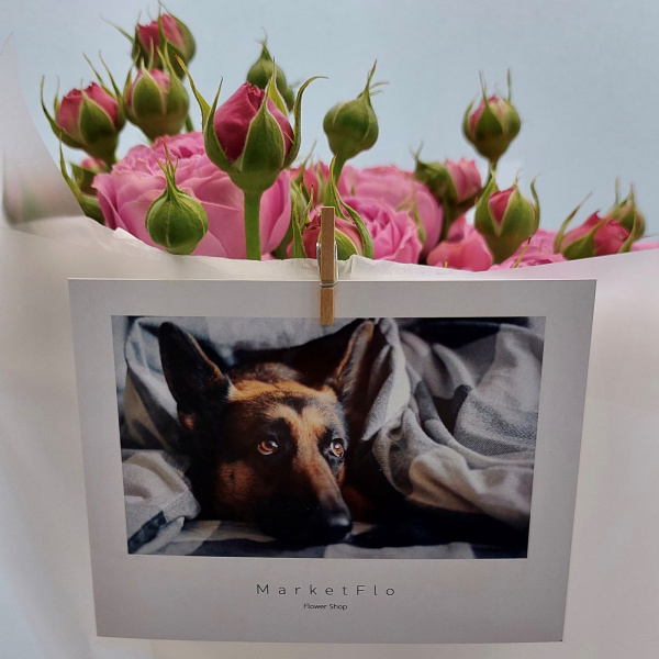 Открытка №29