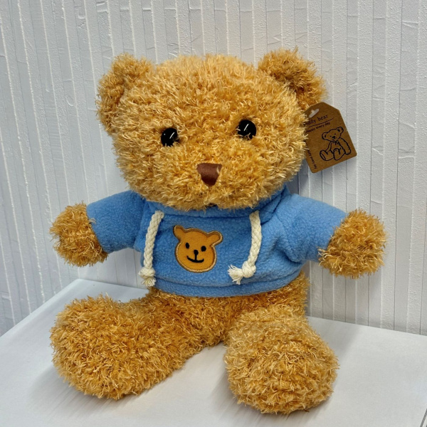 МИШКА В ХУДИ МИШКА В ХУДИ