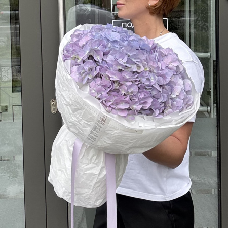 БУКЕТ ИЗ ГОРТЕНЗИЙ