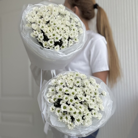 БУКЕТ ИЗ РОМАШЕК САНТИНИ