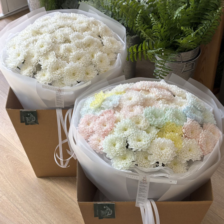 ПЕРЕЛИВЫ ИЗ ХРИЗАНТЕМЫ