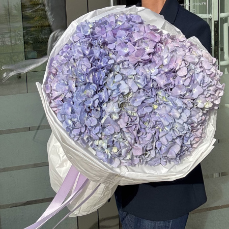БУКЕТ ИЗ ГОРТЕНЗИЙ