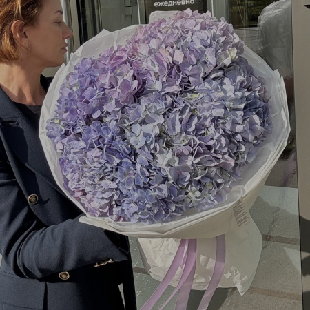 БУКЕТ ИЗ ГОРТЕНЗИЙ