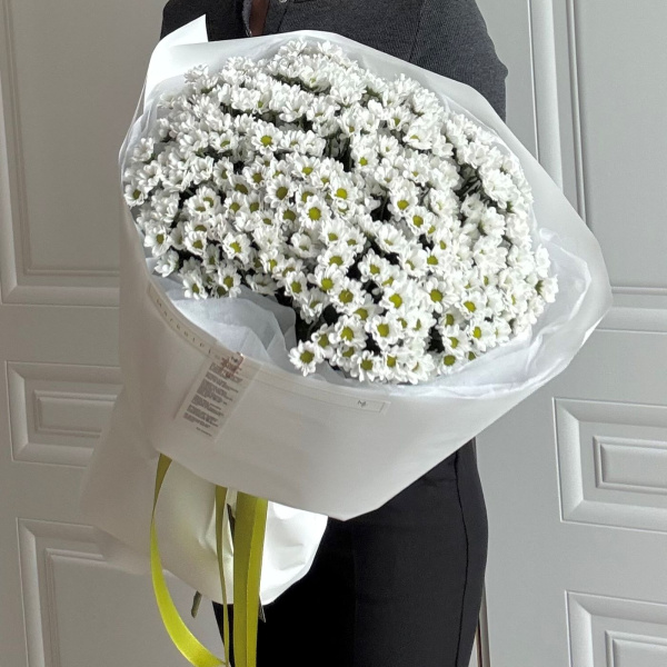 БУКЕТ ИЗ РОМАШЕК САНТИНИ БУКЕТ ИЗ РОМАШЕК САНТИНИ