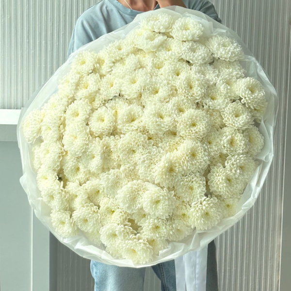 БУКЕТ ИЗ ХРИЗАНТЕМ БУКЕТ ИЗ ХРИЗАНТЕМ