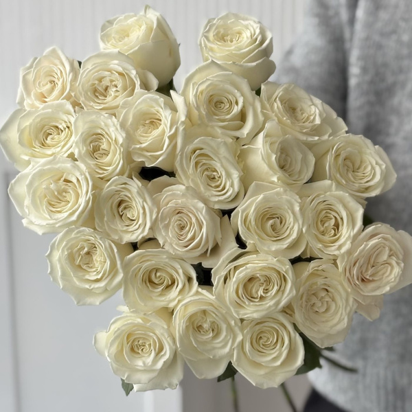 РОЗА PLAYA BLANCA