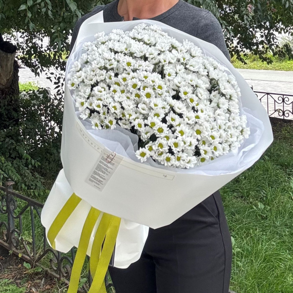 БУКЕТ ИЗ РОМАШЕК САНТИНИ БУКЕТ ИЗ РОМАШЕК САНТИНИ