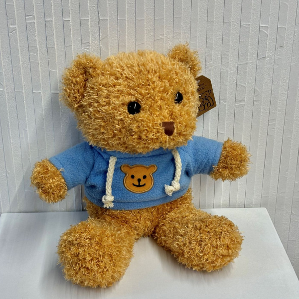 МИШКА В ХУДИ МИШКА В ХУДИ