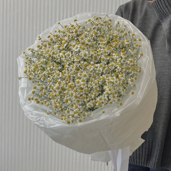 БУКЕТ ИЗ РОМАШЕК МАТРИКАРИЯ