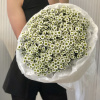 БУКЕТ ИЗ САНТИНИ